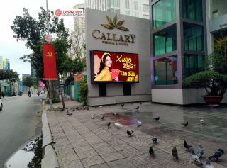 Màn hình LED ngoài trời P5 300 inch (LEDP5OUT300)