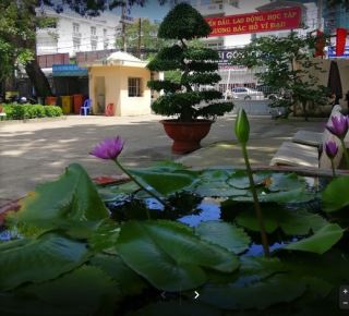 truong thinh nhan thi cong bao gia du toan lap dat man hinh ghep aha 55 inch aha55h53 cho ubnd phuong linh trung 1262 kha van can phuong linh trung thu duc ho chi minh