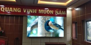 gia man hinh ghep samsung 46 inch lh46udeblbbxv gia re tai tinh dak lak su dung trong viec quang cao thong tin san pham
