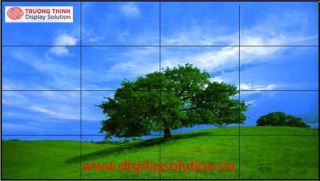 Màn hình ghép LG 49 inch (4x4-LD490DUN-TJB2)
